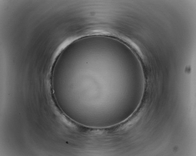 X0000101171373200807111042