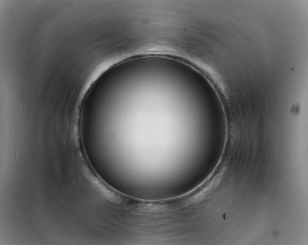 X0000101171374200807111042