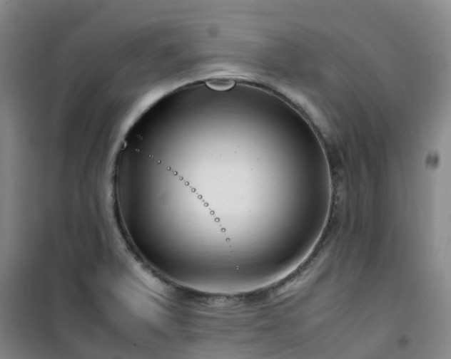 X0000101171375200807111042