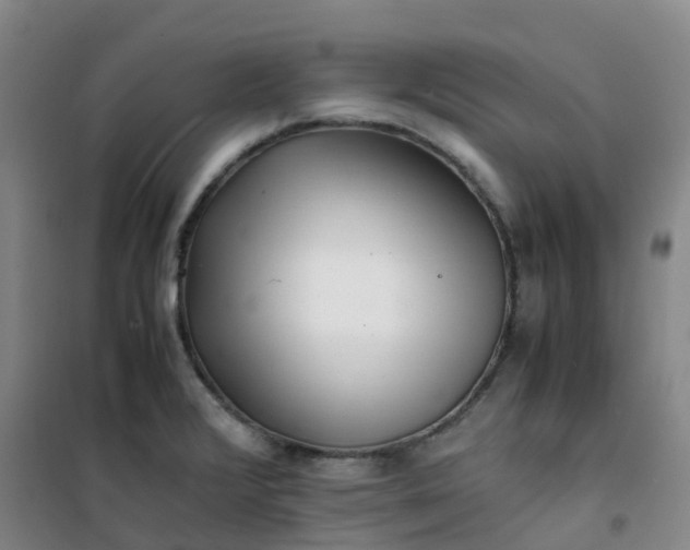 X0000101171376200807111042