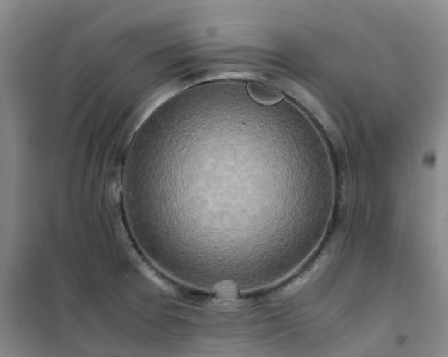 X0000101171377200807111042