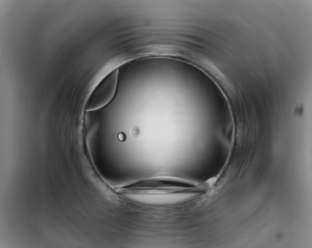 X0000101171378200807111042