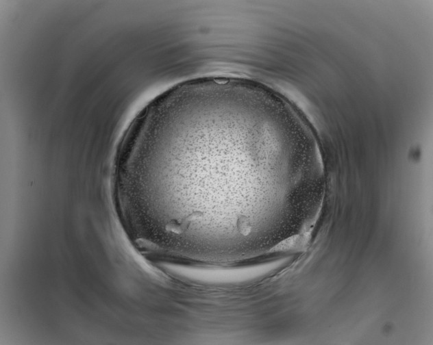 X0000101171379200807111042