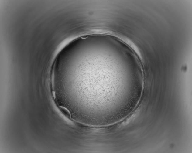 X0000101171381200807111042