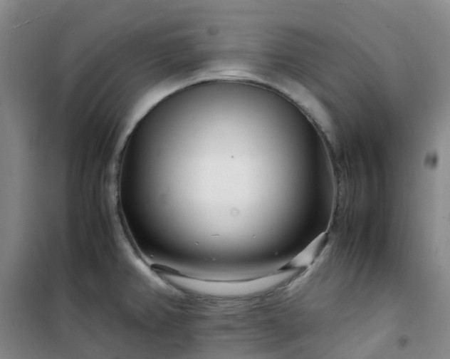 X0000101171382200807111042