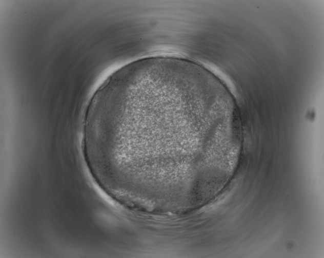 X0000101171383200807111042
