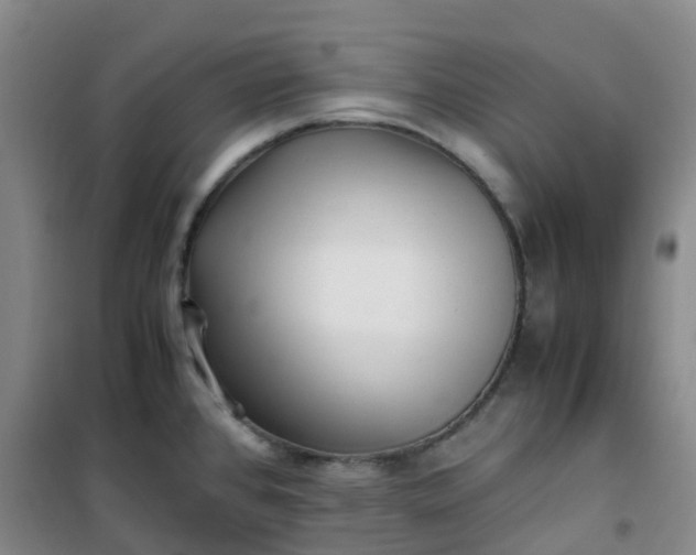 X0000101171384200807111042