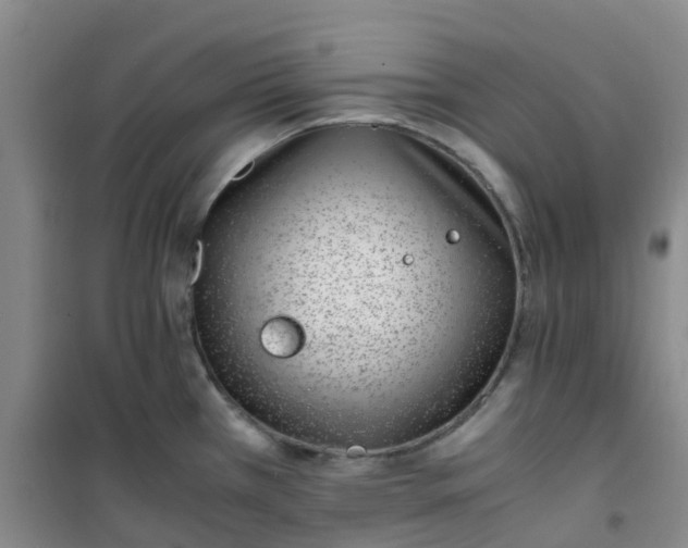 X0000101171385200807111042
