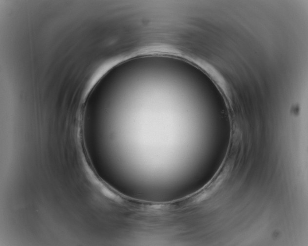 X0000101171390200807111042