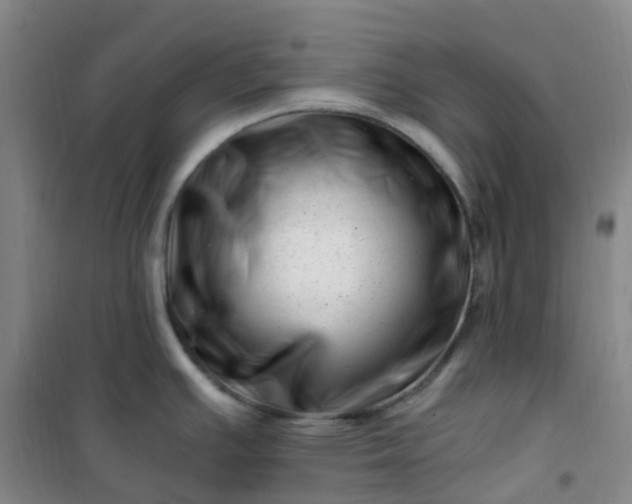 X0000101171391200807111042