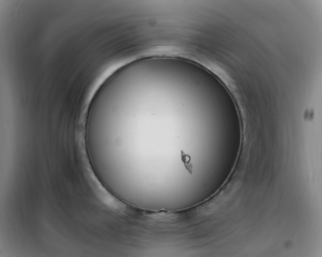 X0000101171392200807111042