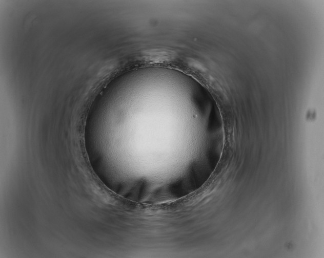 X0000101171393200807111041