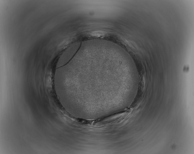 X0000101171394200807111041