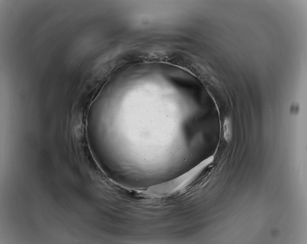 X0000101171395200807111041