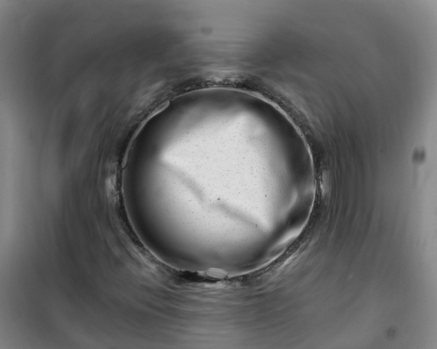 X0000101171396200807111041
