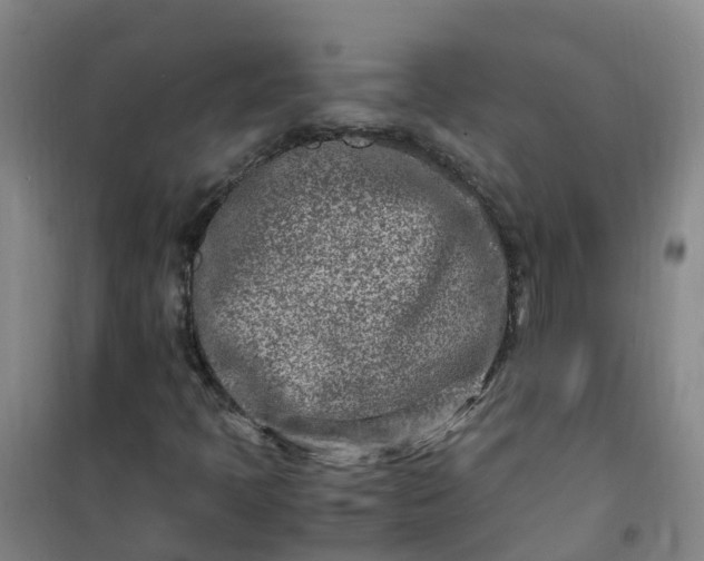 X0000101171397200807111041