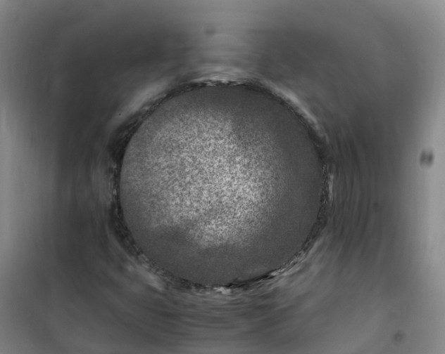 X0000101171399200807111041