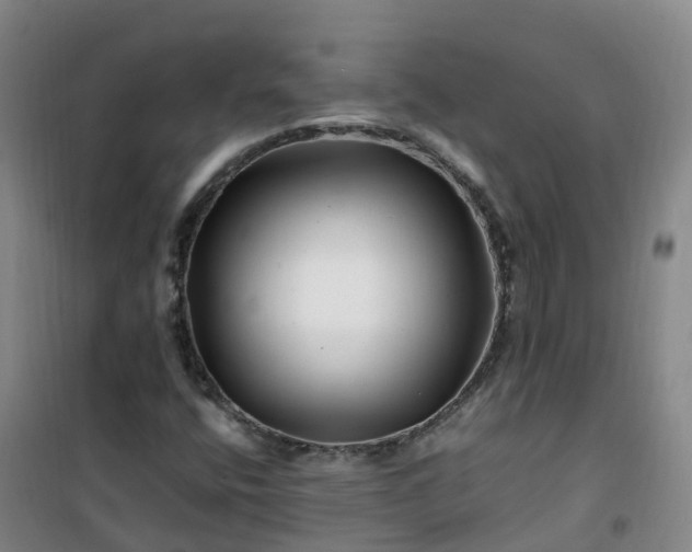 X0000101171400200807111041