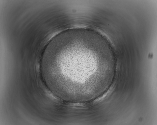 X0000101171401200807111041