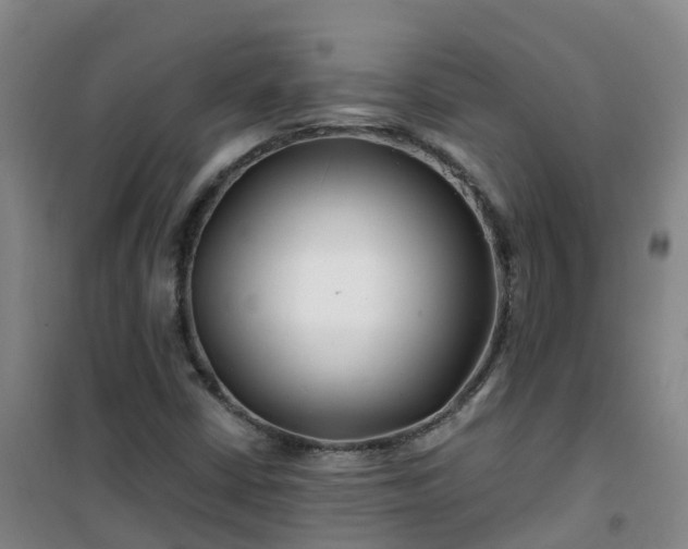 X0000101171402200807111041