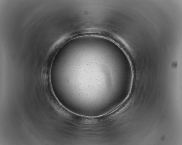 X0000101171403200807111041