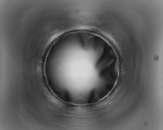 X0000101171404200807111041