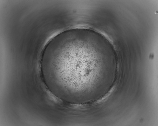 X0000101171405200807111041