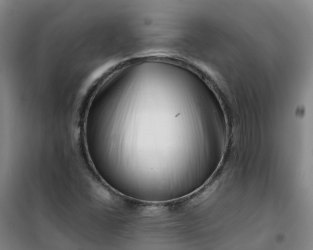 X0000101171406200807111041