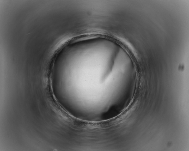 X0000101171407200807111041