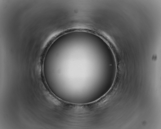 X0000101171408200807111041