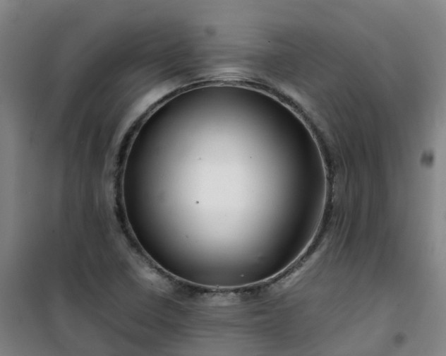 X0000101171410200807111041