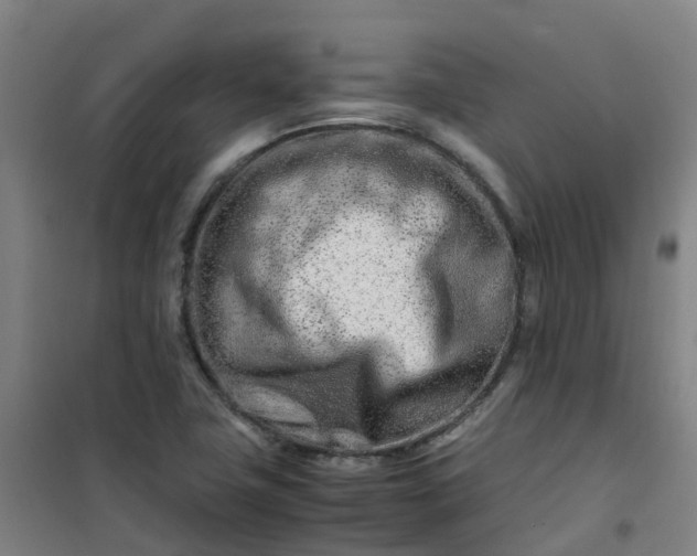 X0000101171411200807111041