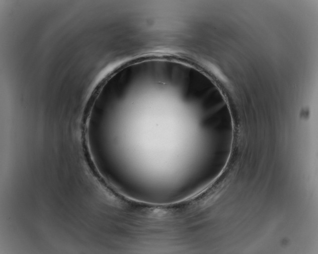 X0000101171412200807111041
