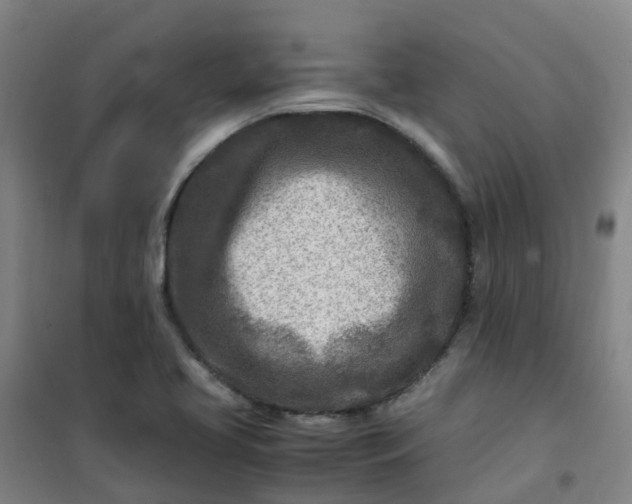 X0000101171413200807111041