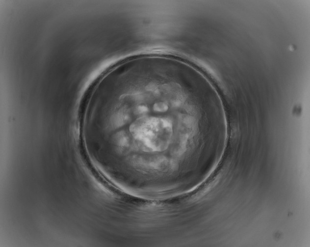 X0000101171414200807111041