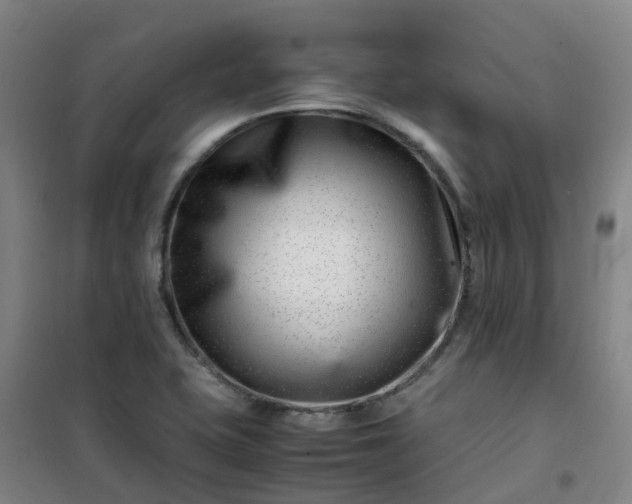 X0000101171415200807111041