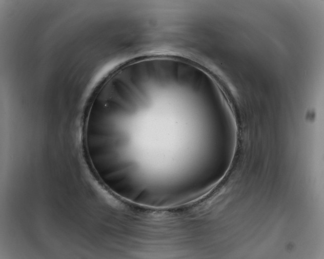 X0000101171416200807111041