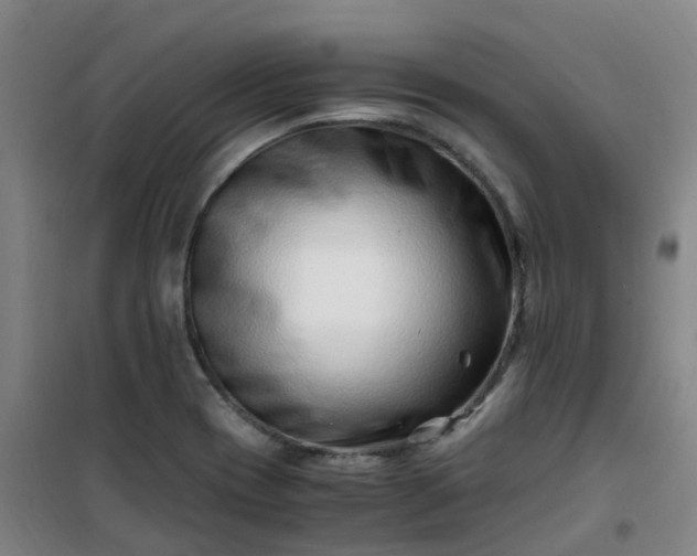 X0000101171417200807111041