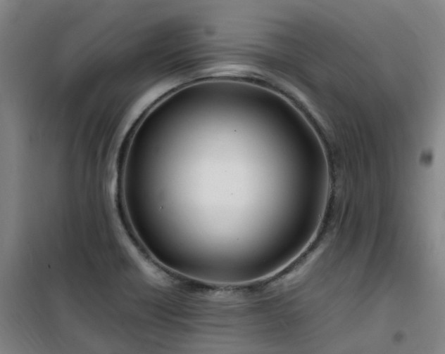 X0000101171418200807111041