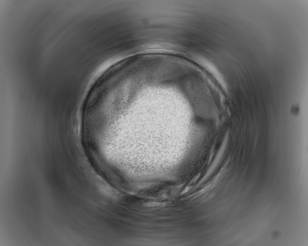 X0000101171419200807111041