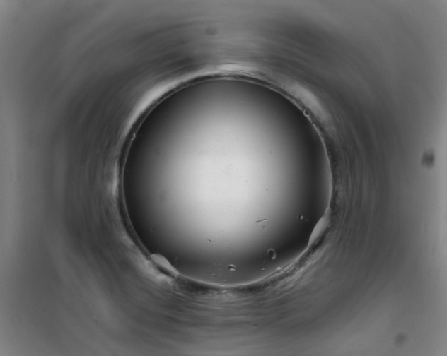 X0000101171420200807111041