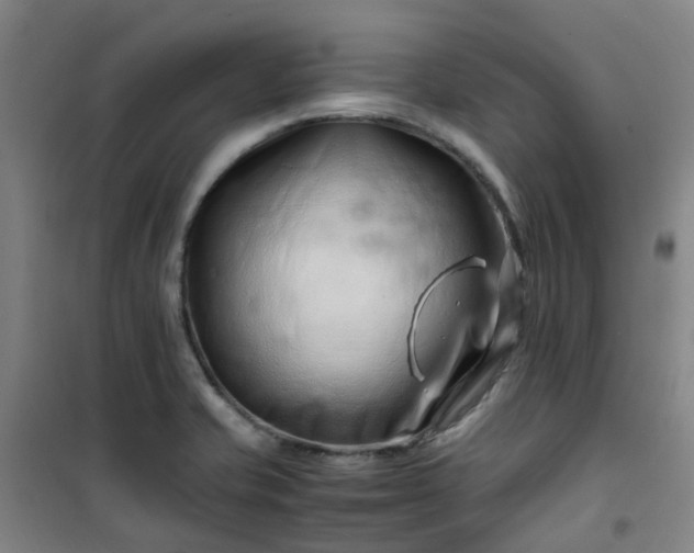 X0000101171421200807111041