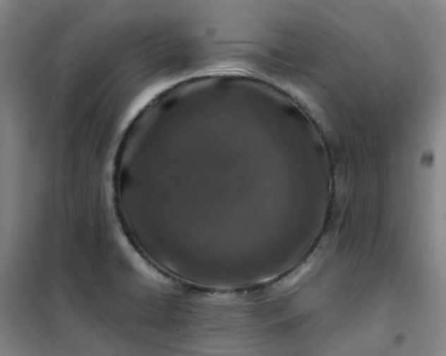 X0000101171422200807111041