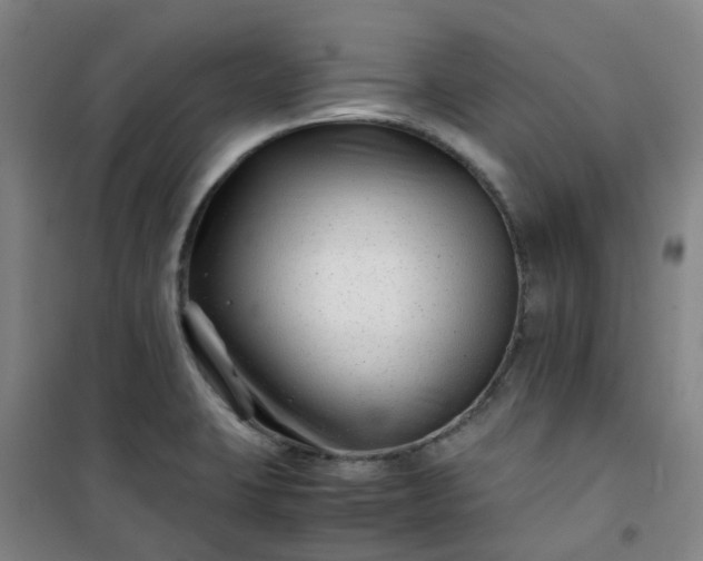 X0000101171423200807111041