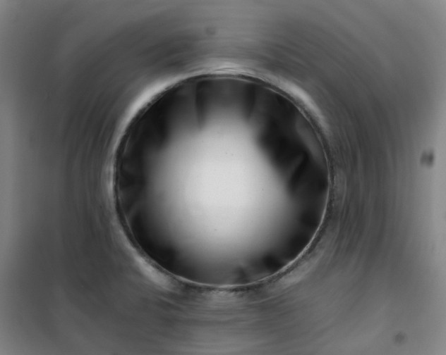 X0000101171424200807111041