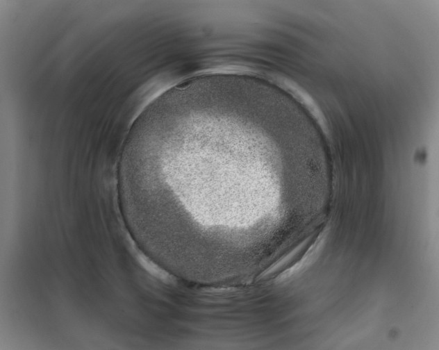 X0000101171425200807111042