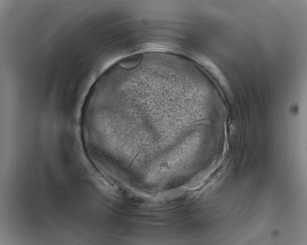 X0000101171427200807111042