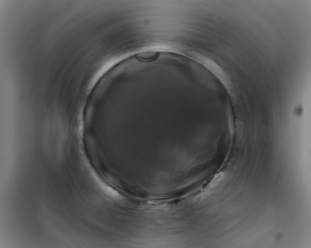 X0000101171428200807111042