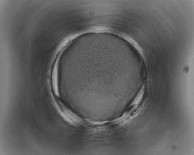 X0000101171429200807111042