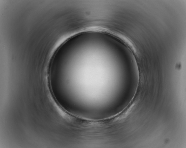 X0000101171430200807111042